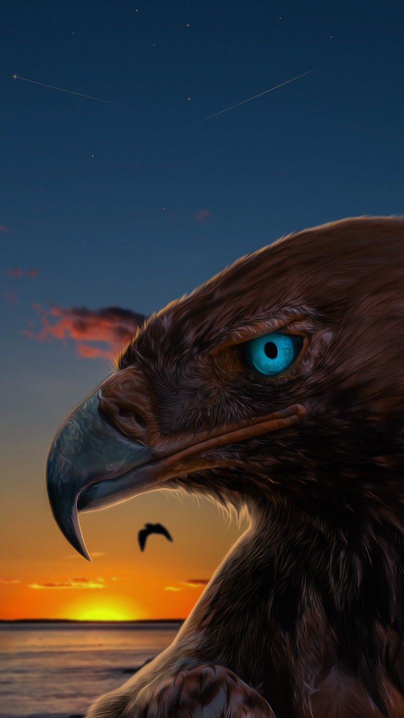 Eagle Birds HD