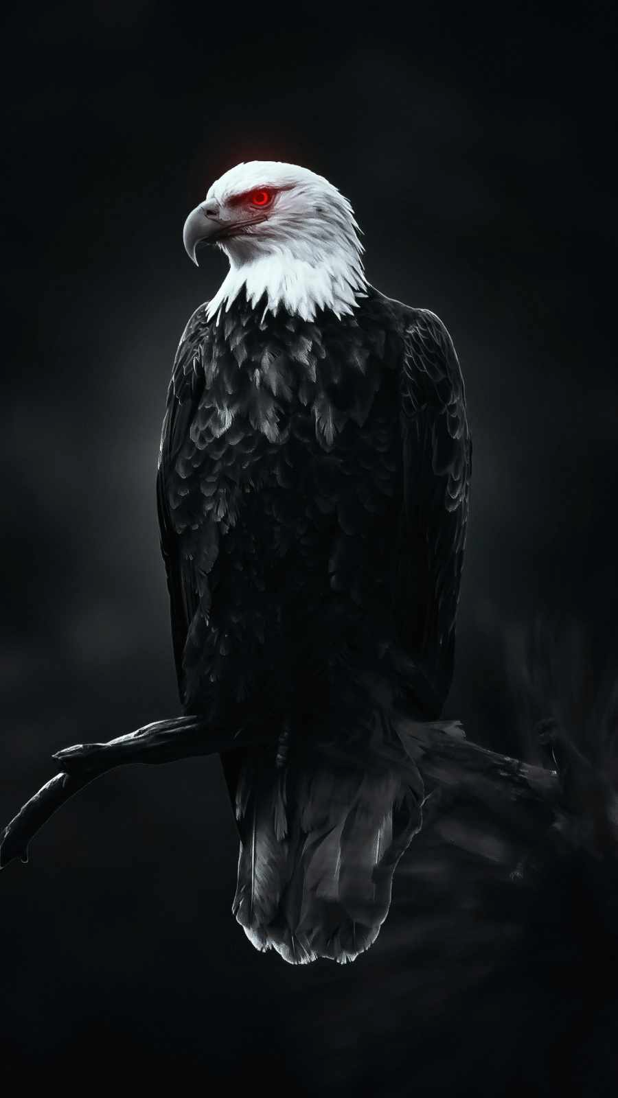 Eagle Birds HD