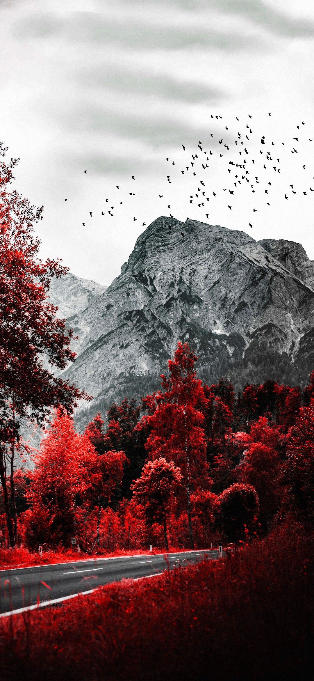 HighDefinitionImage HD Image