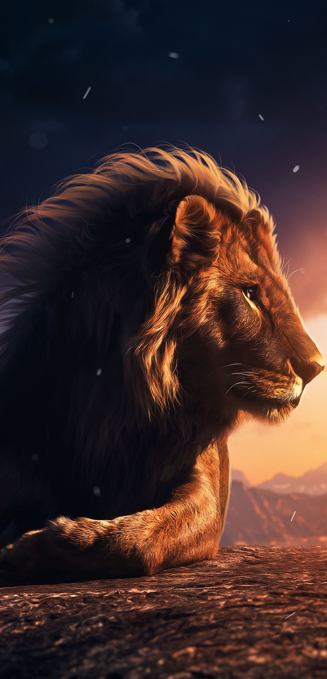 Lion Wildlife Animal HD