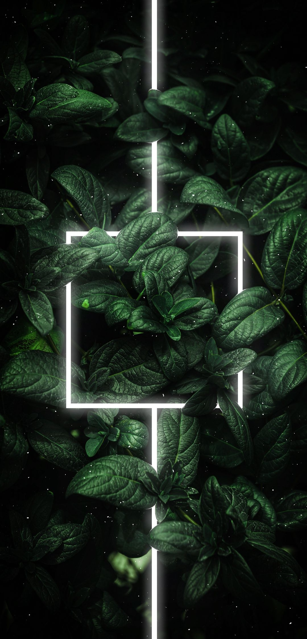 Nature Leaf Light 3d HD