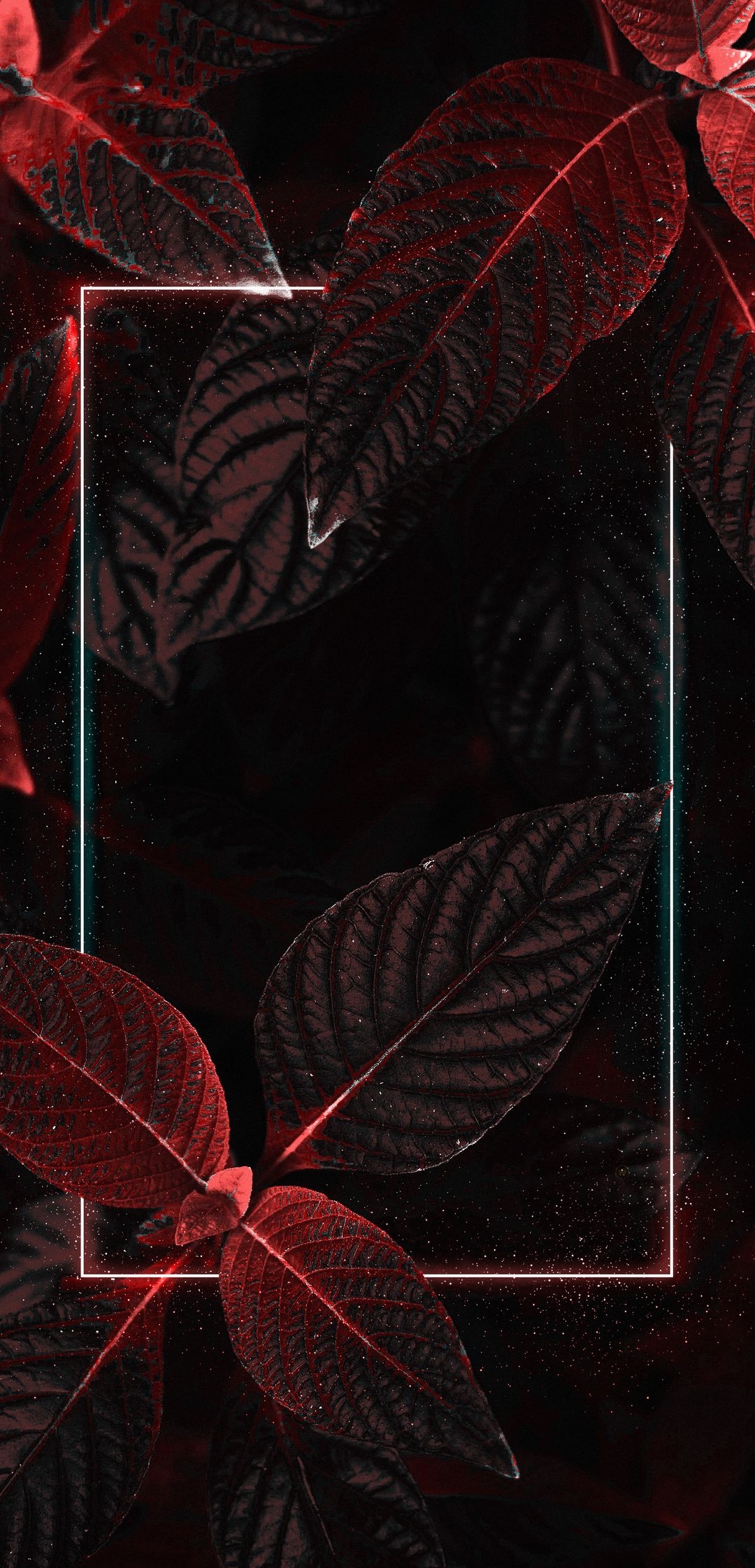 Nature Leaf Light 3d HD