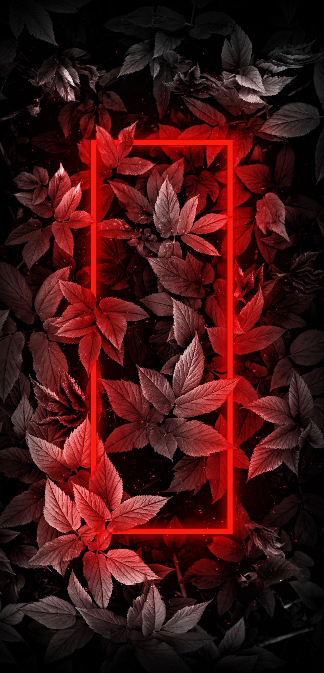 Nature Leaf Light 3d HD