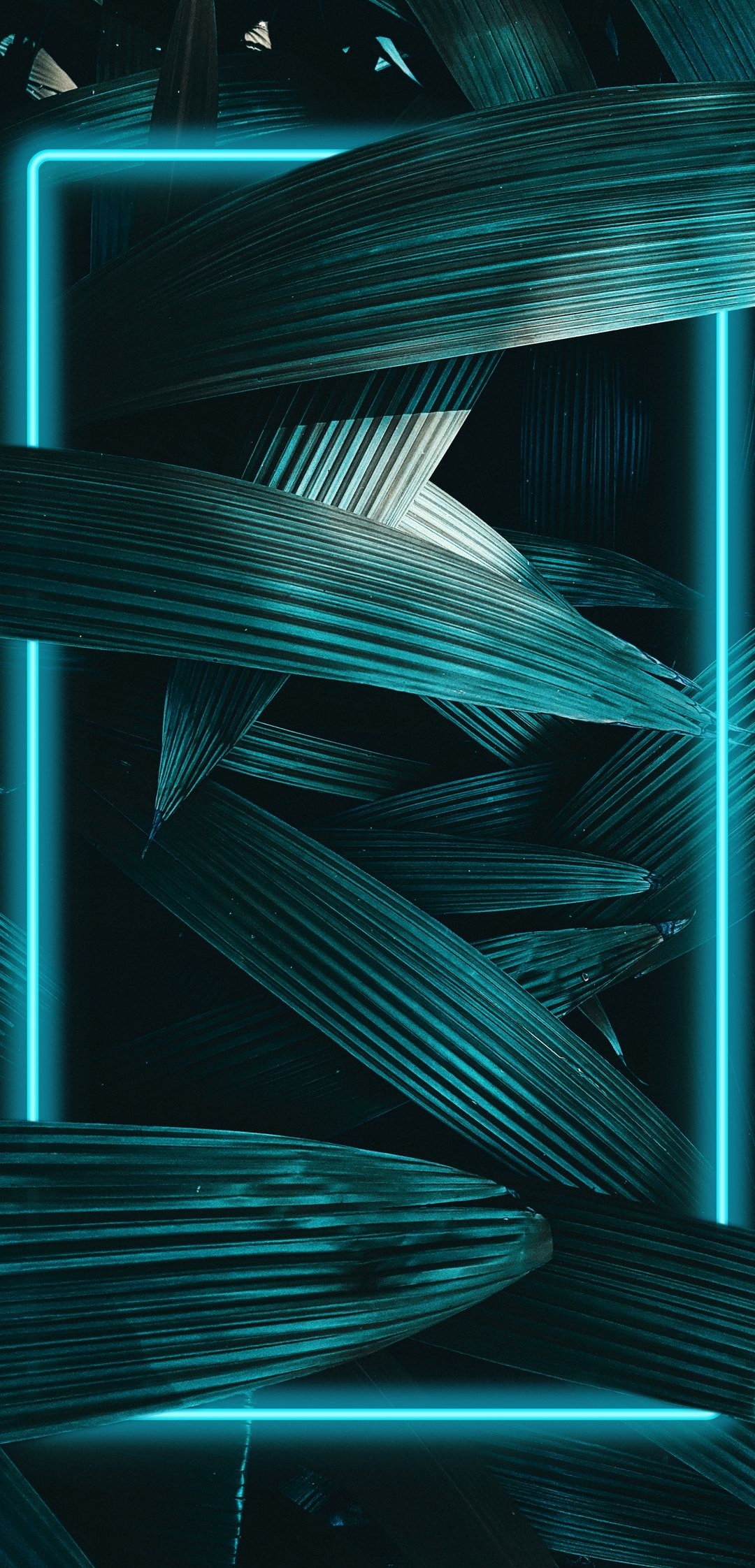 Nature Leaf Light 3d HD