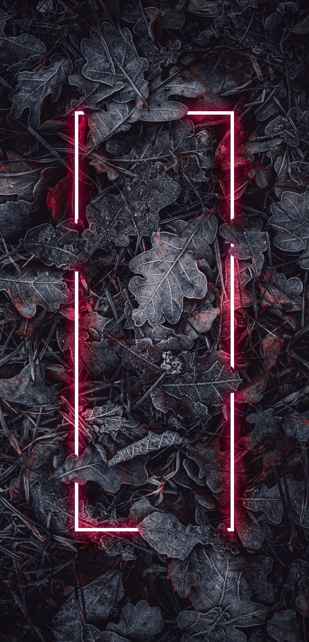 Nature Leaf Light 3d HD