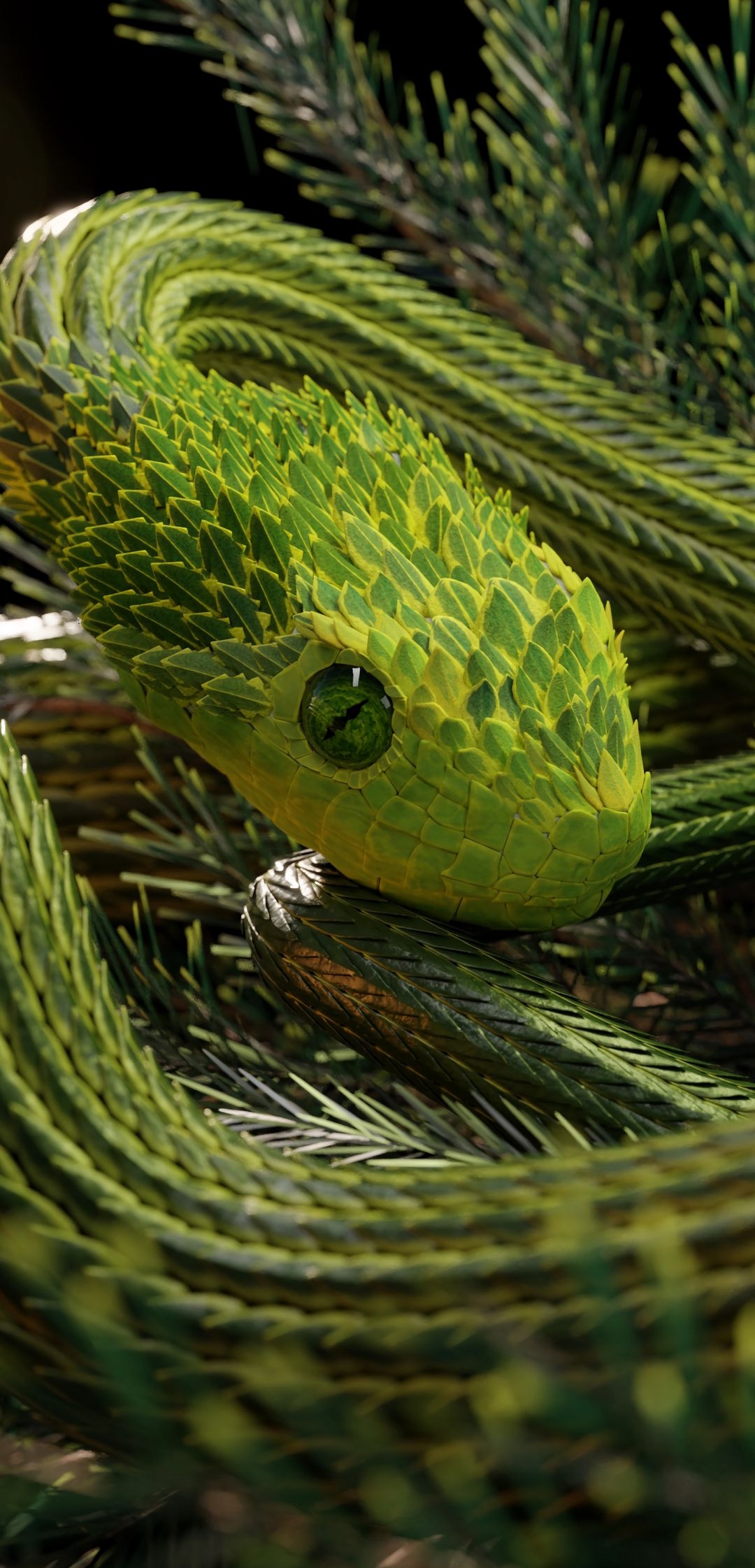 Snake Wildlife Animal HD