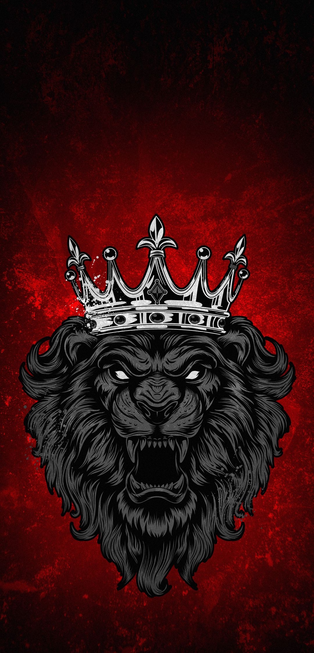 Wildlife Lion Animal HD